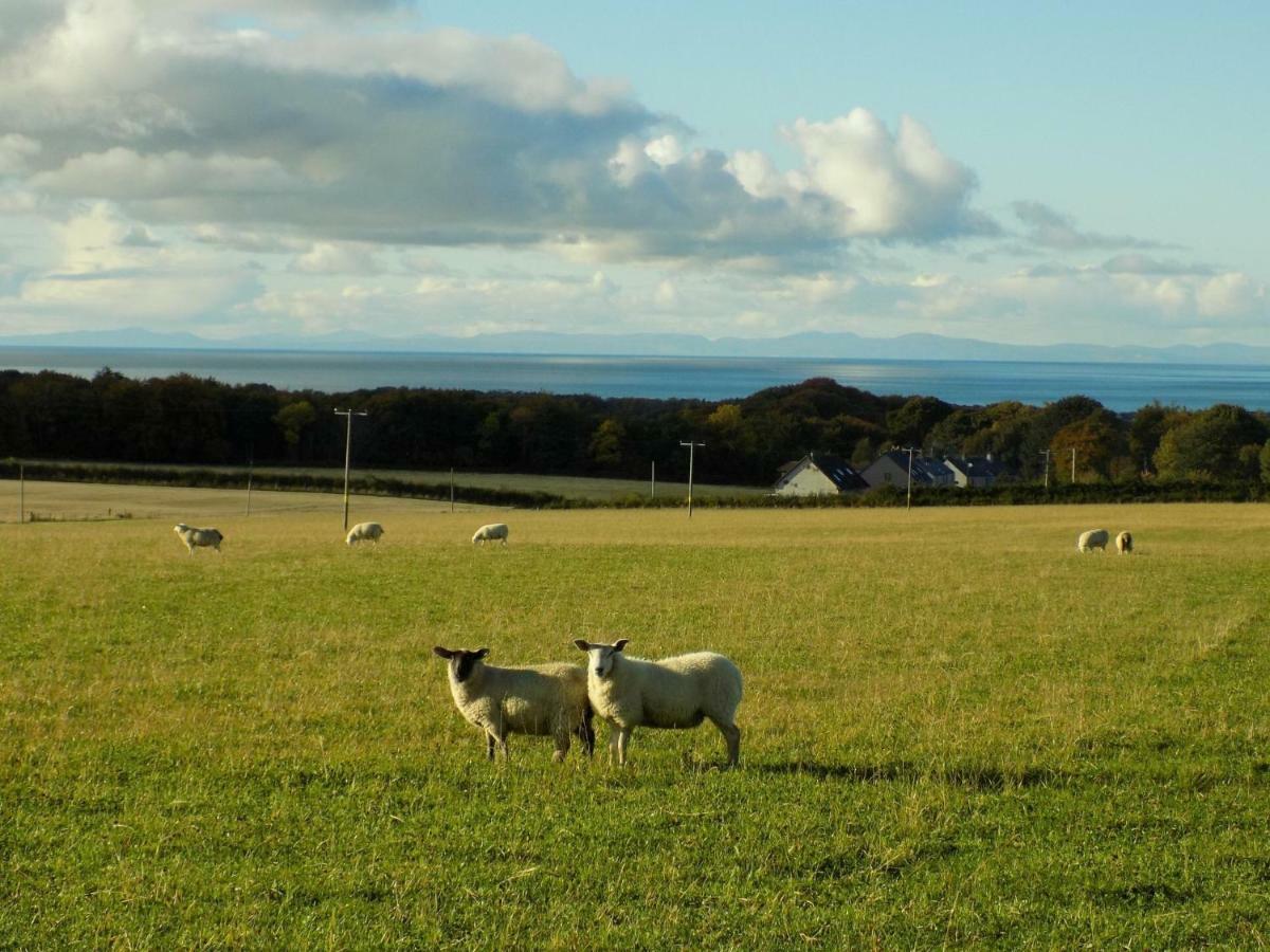 Greencraig Pods Buckie Luaran gambar
